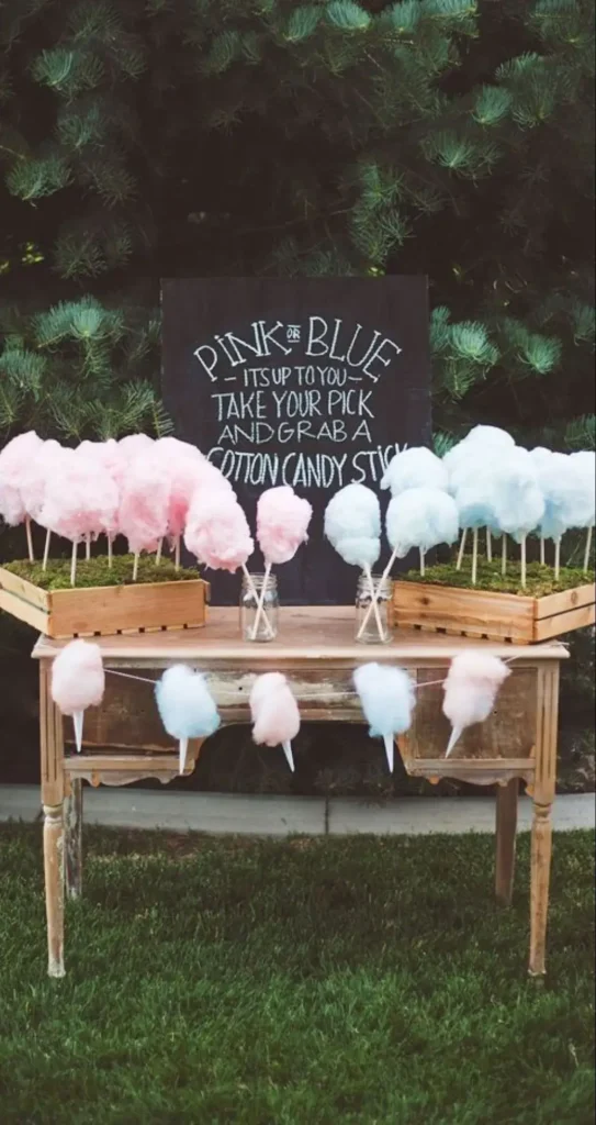 10 UNIQUE WAYS TO CELEBRATE A GENDER REVEAL