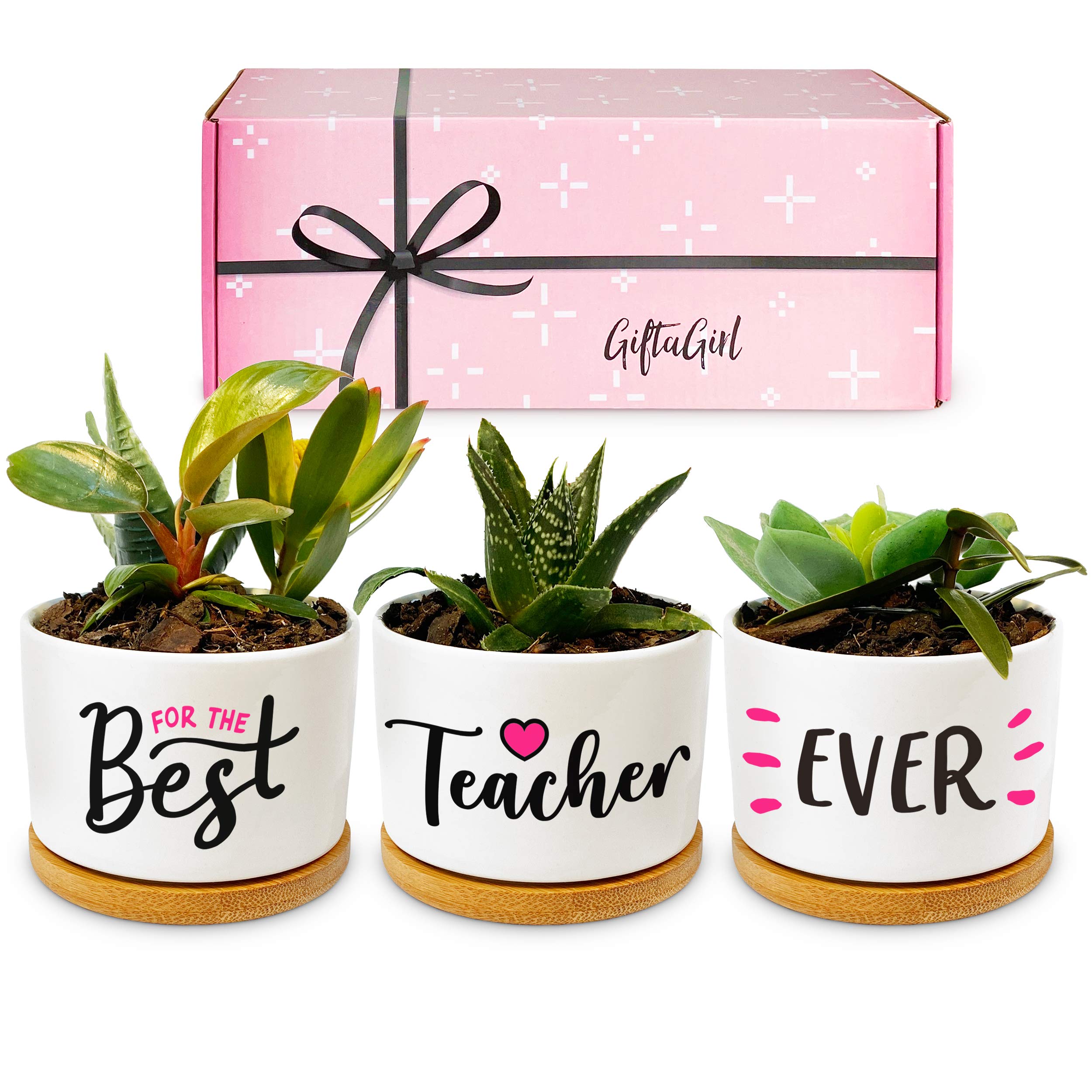 East Gift Ideas for Teachers 12